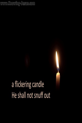Matthew 12:20  A Flickering Candle Shall Not Be Snuffed Out (white)